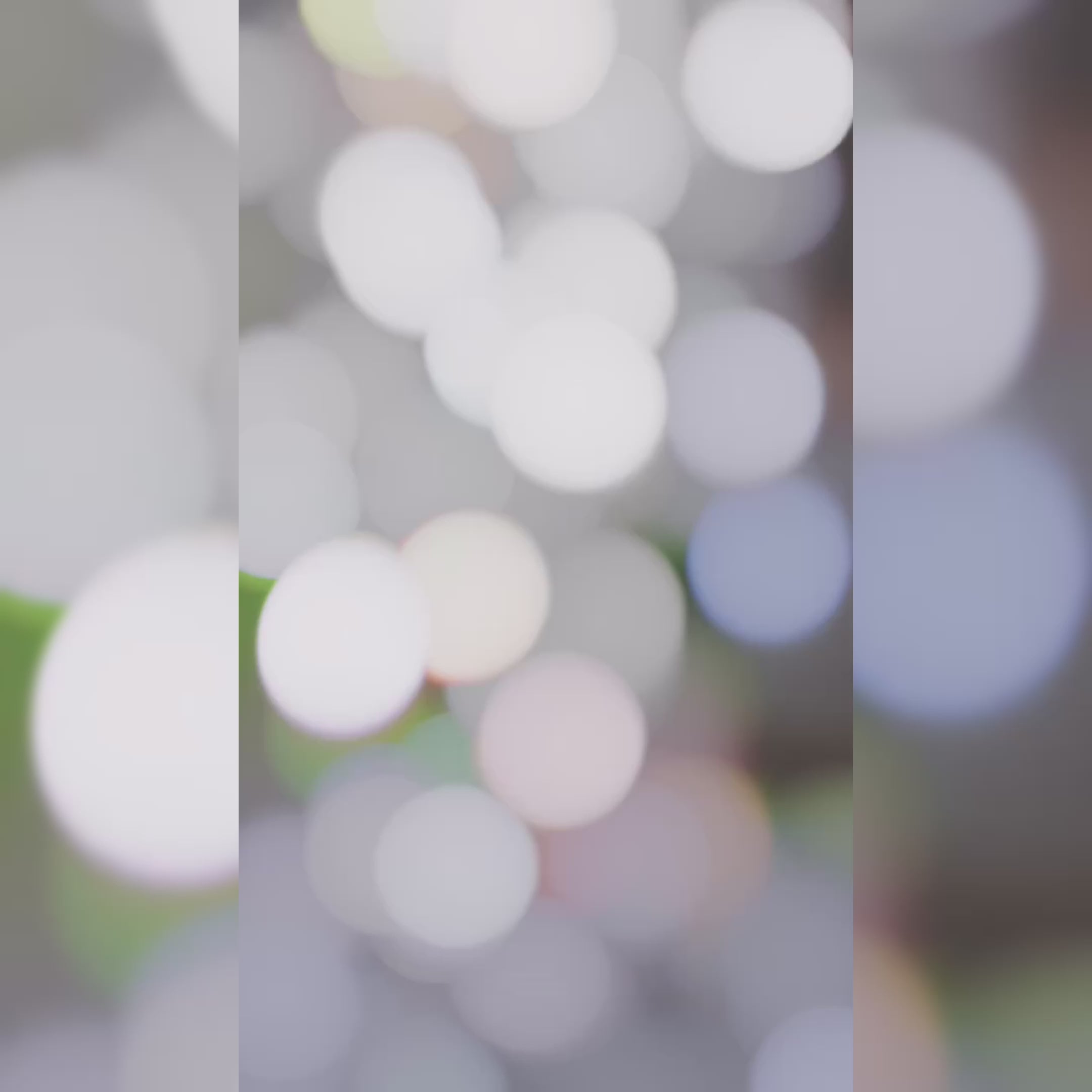 BOTÍN SUBLIMITY AGUJA NEGRO